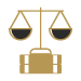 reglatory law icon